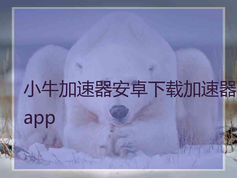 小牛加速器安卓下载加速器app