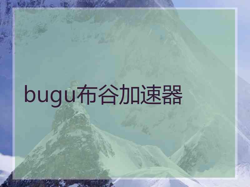 bugu布谷加速器