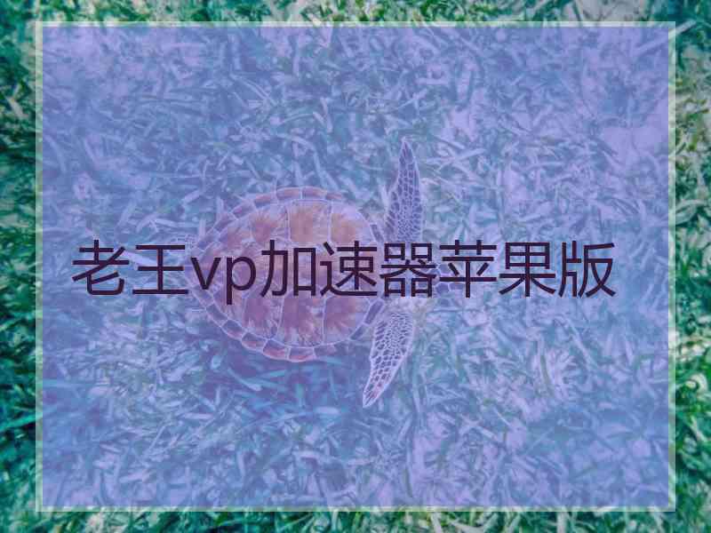 老王vp加速器苹果版