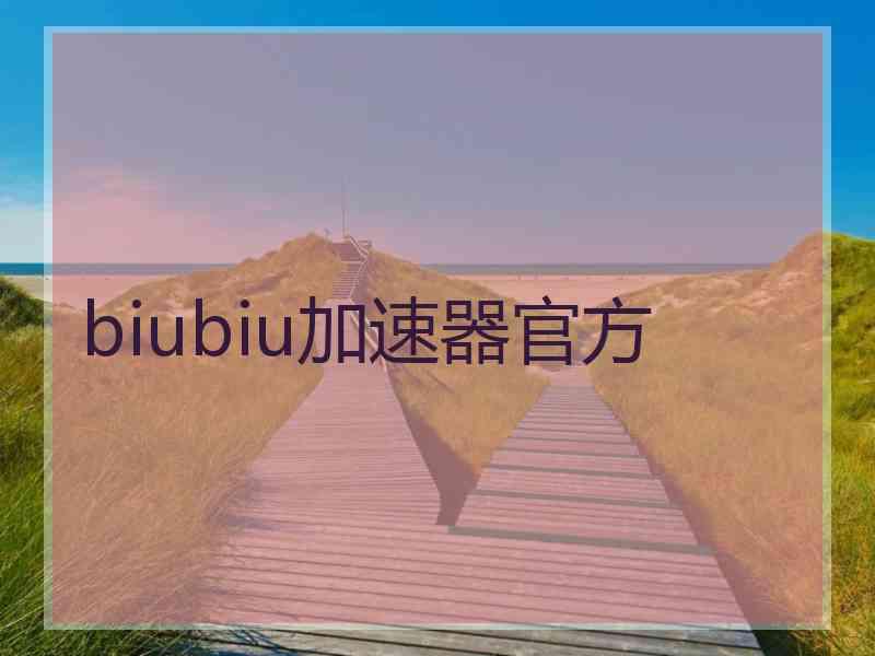 biubiu加速器官方