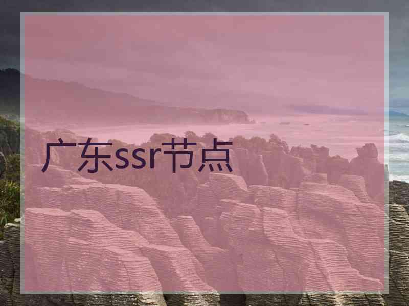 广东ssr节点