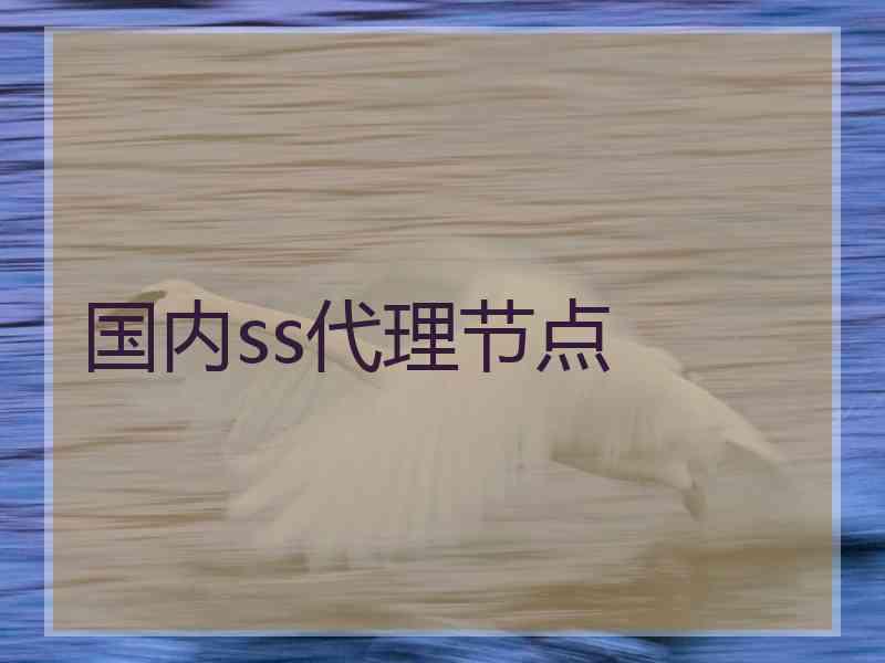 国内ss代理节点