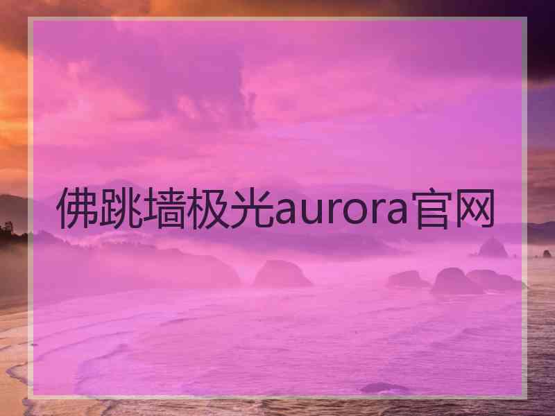 佛跳墙极光aurora官网