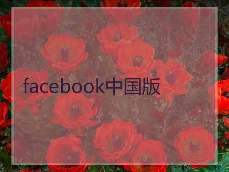 facebook中国版