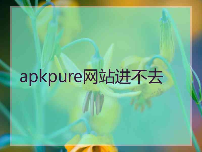 apkpure网站进不去