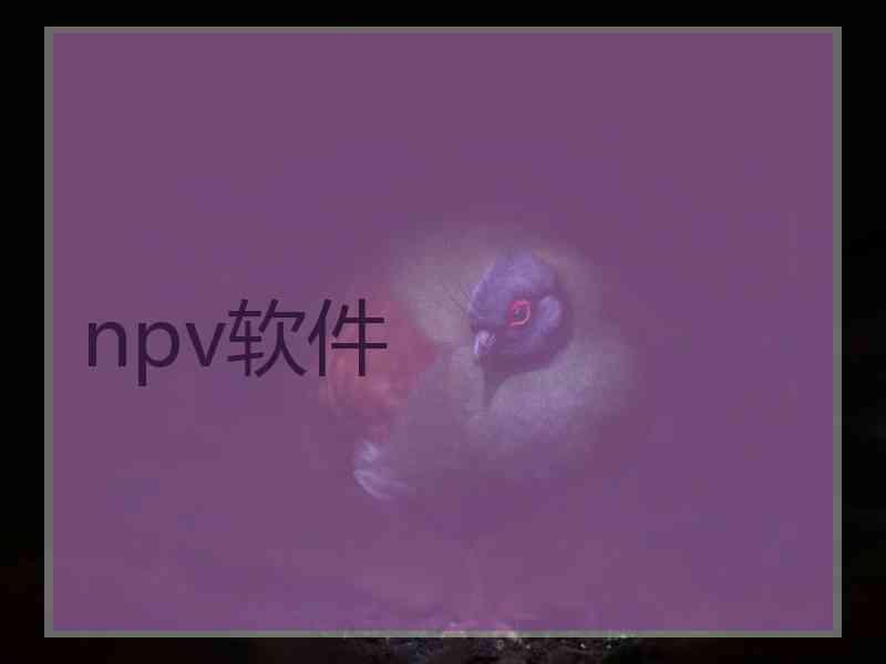 npv软件