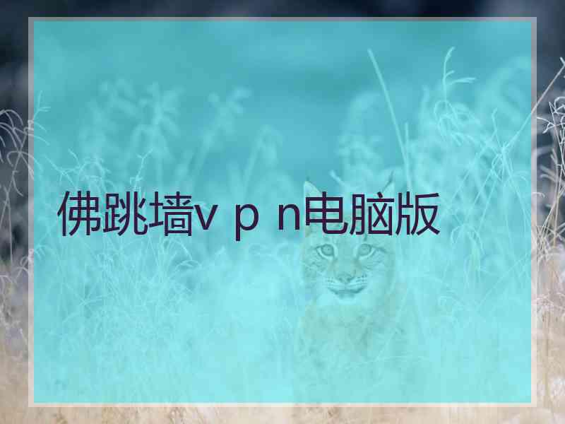 佛跳墙v p n电脑版