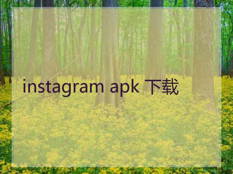 instagram apk 下载