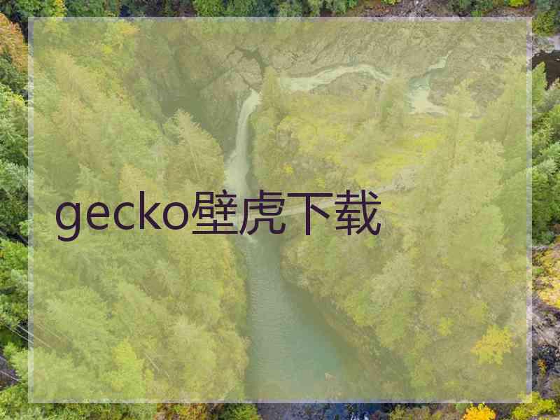 gecko壁虎下载