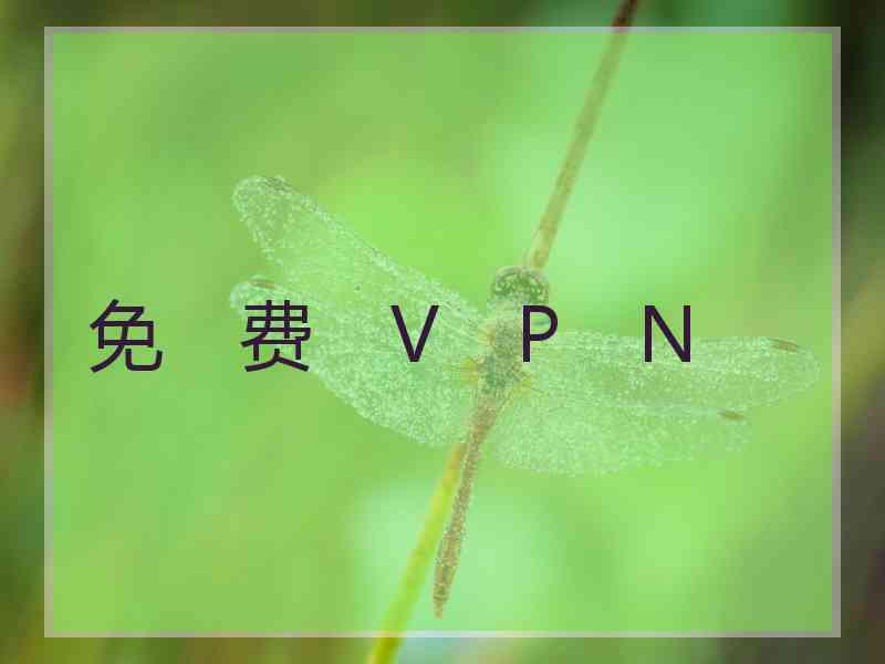 免　费　V　P　N