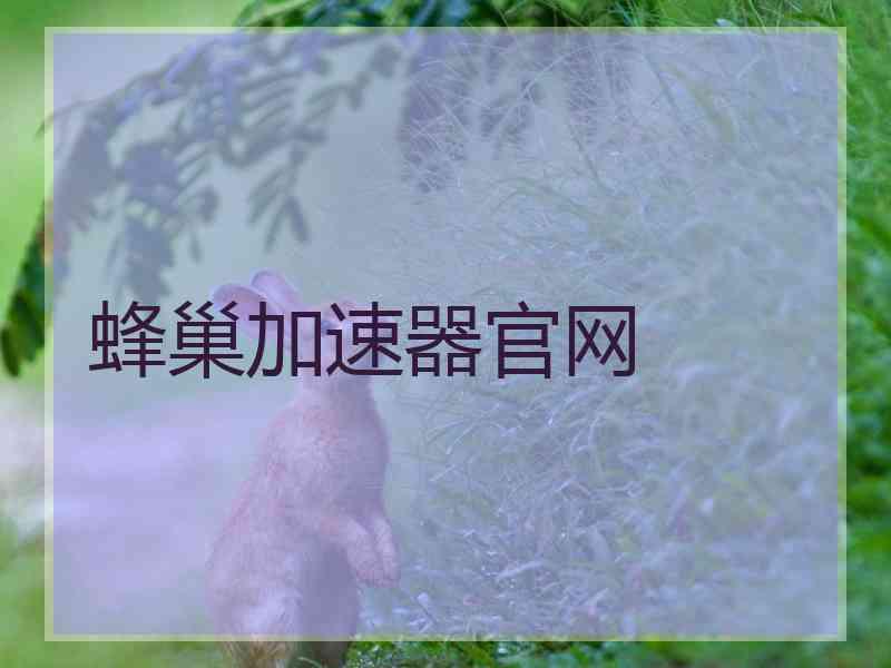 蜂巢加速器官网