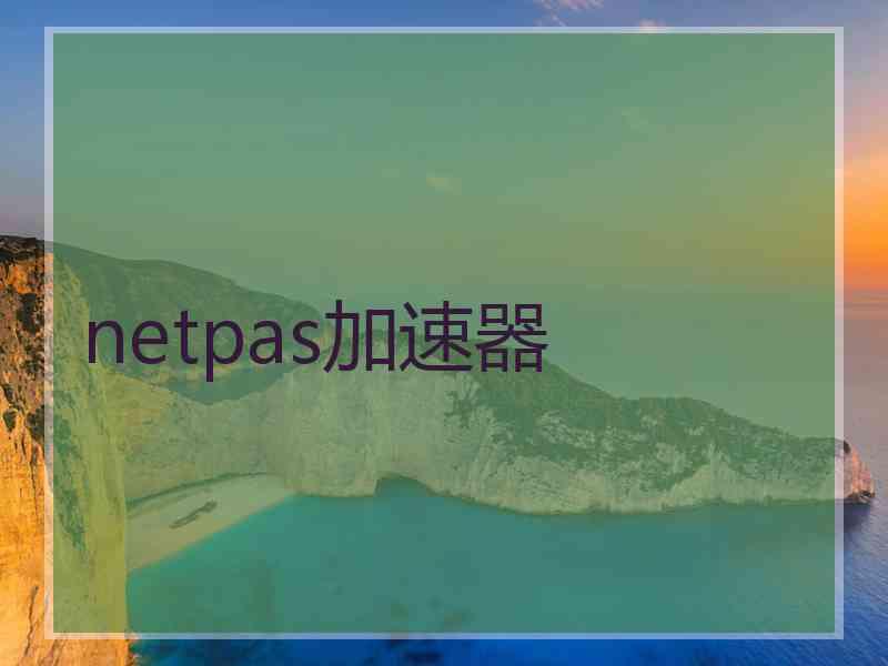 netpas加速器