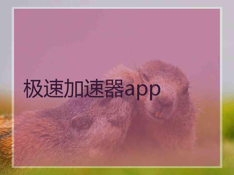 极速加速器app