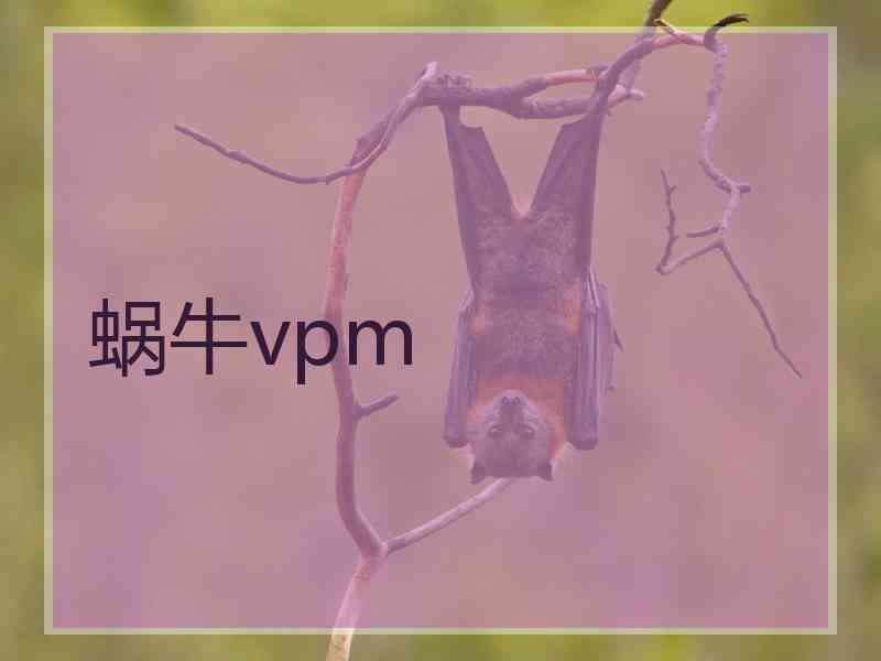 蜗牛vpm