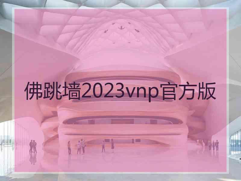 佛跳墙2023vnp官方版