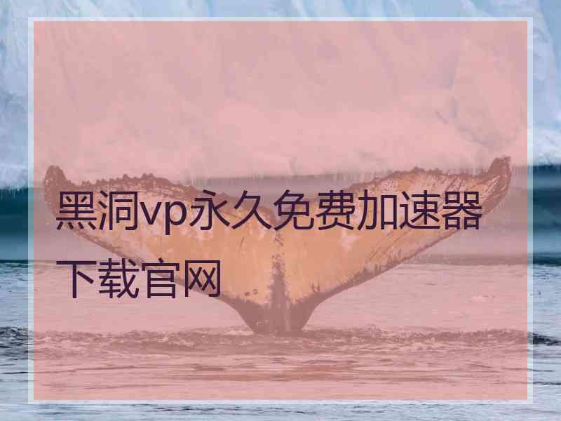 黑洞vp永久免费加速器下载官网