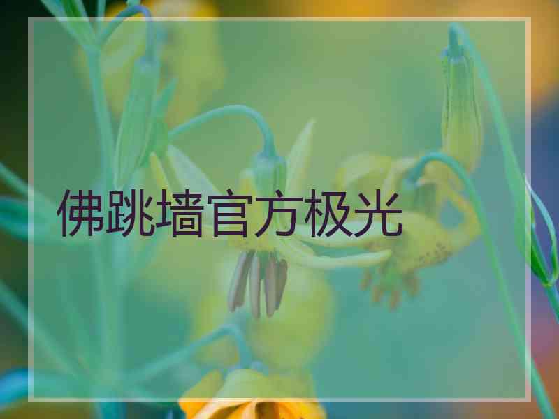 佛跳墙官方极光