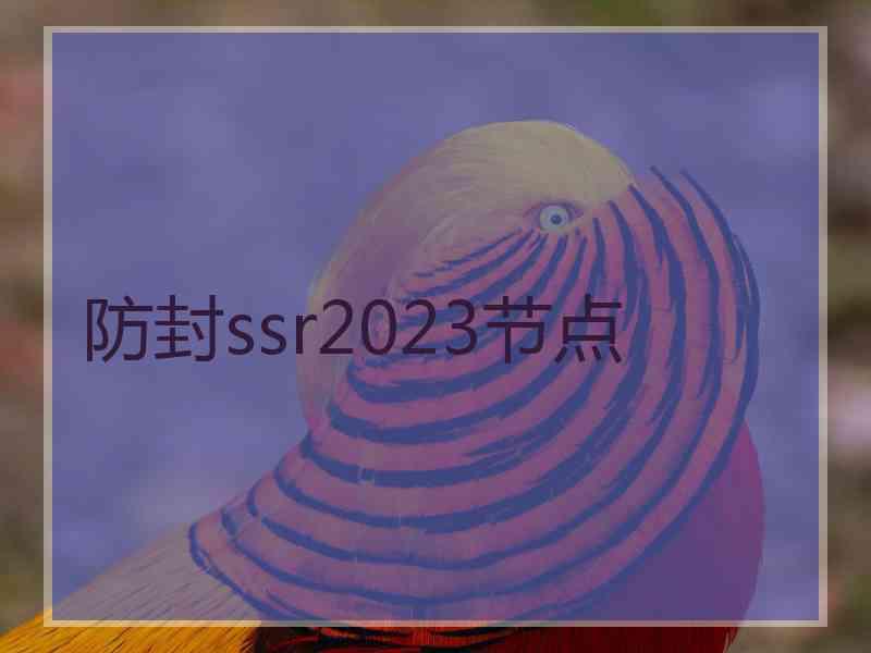 防封ssr2023节点