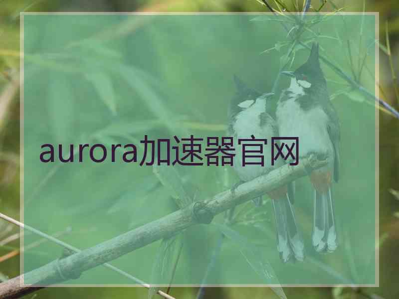 aurora加速器官网