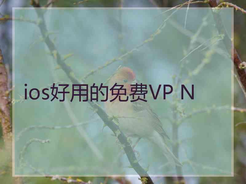 ios好用的免费VP N