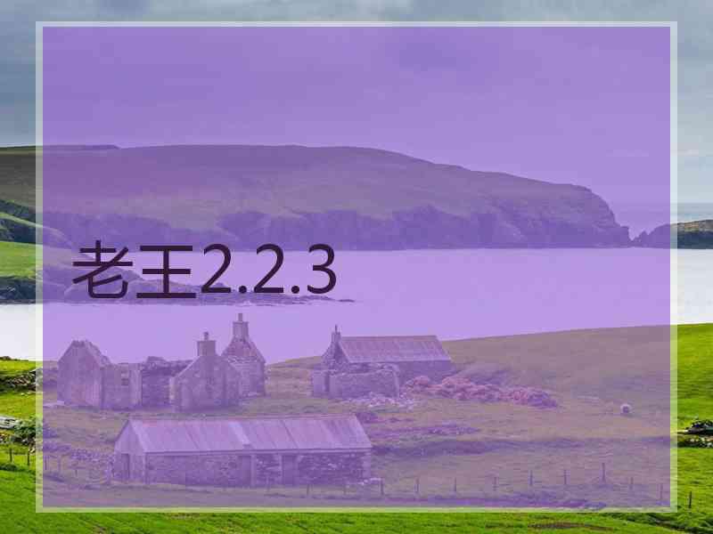 老王2.2.3