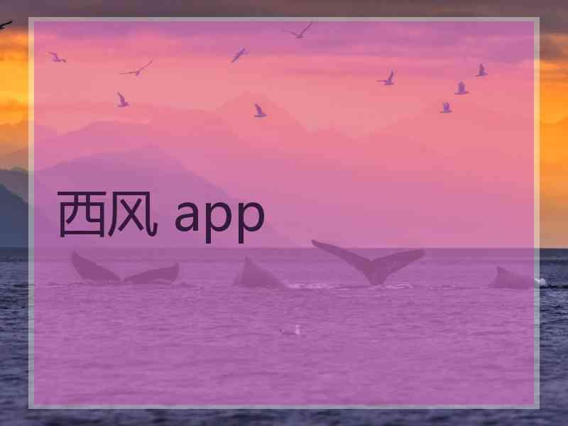 西风 app