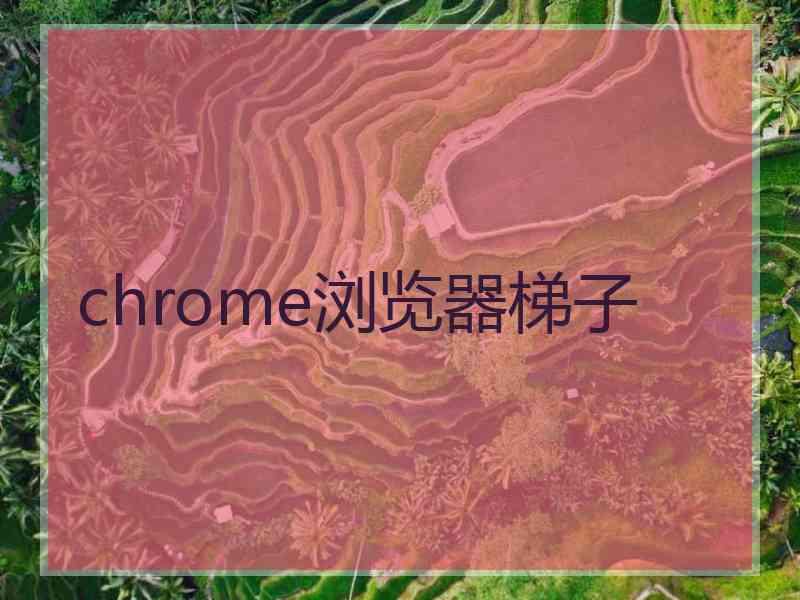 chrome浏览器梯子