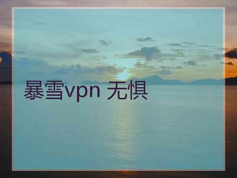 暴雪vpn 无惧