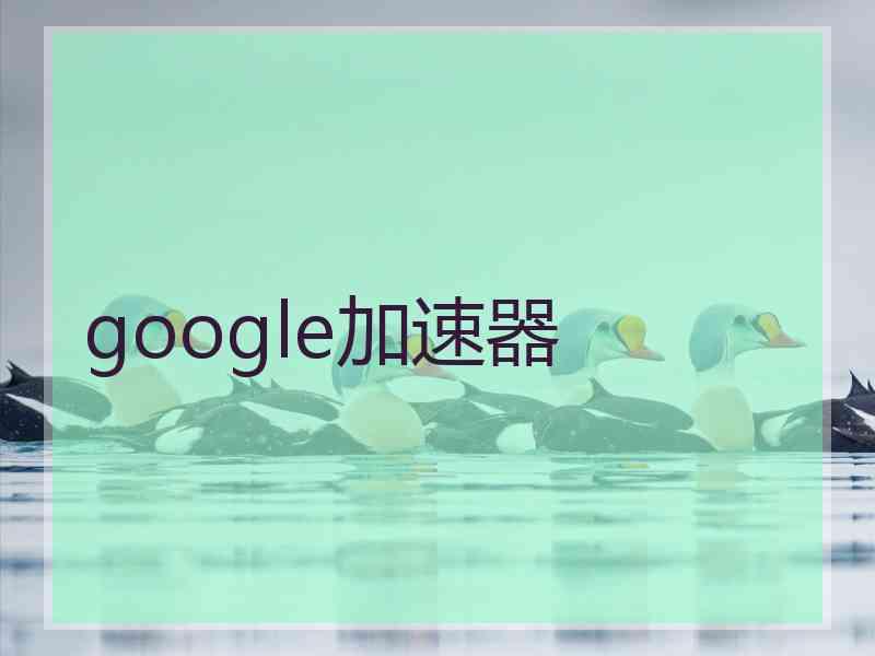 google加速器