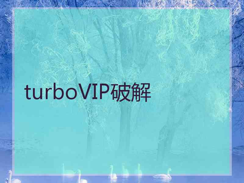 turboVIP破解