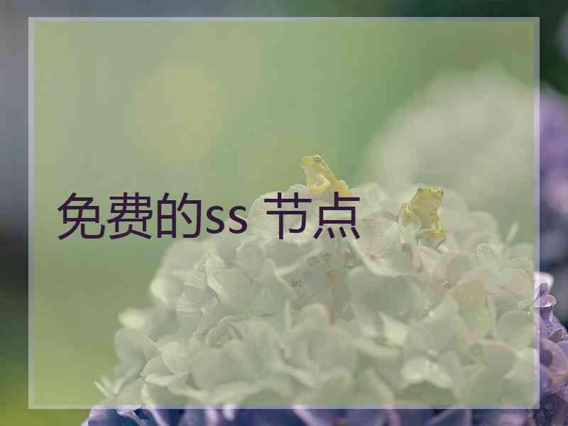 免费的ss 节点