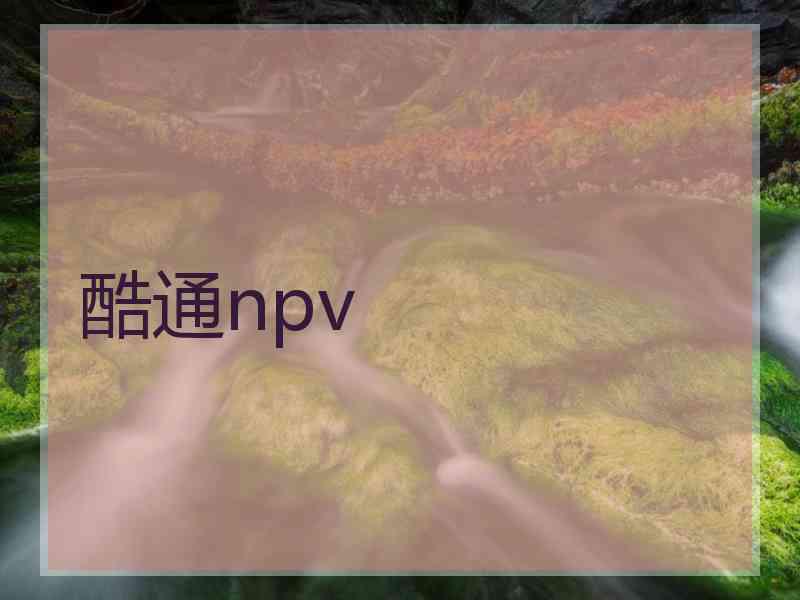 酷通npv