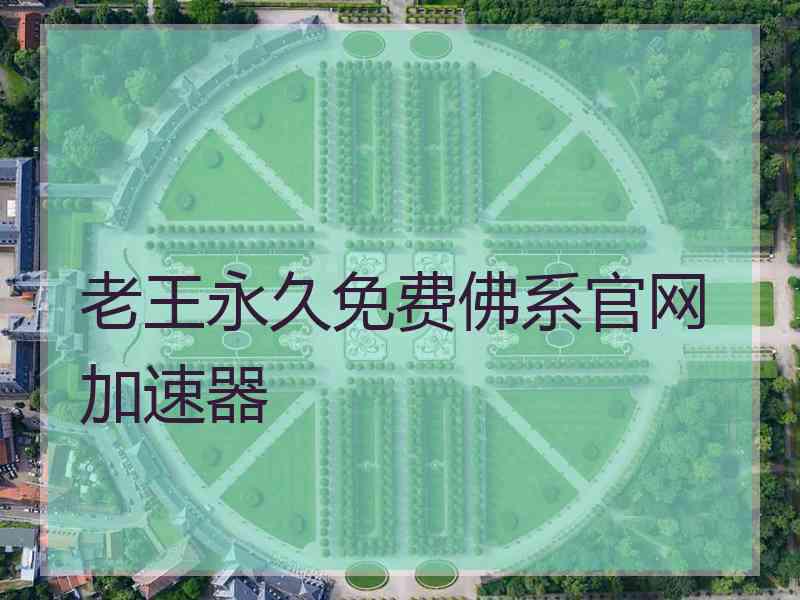 老王永久免费佛系官网加速器