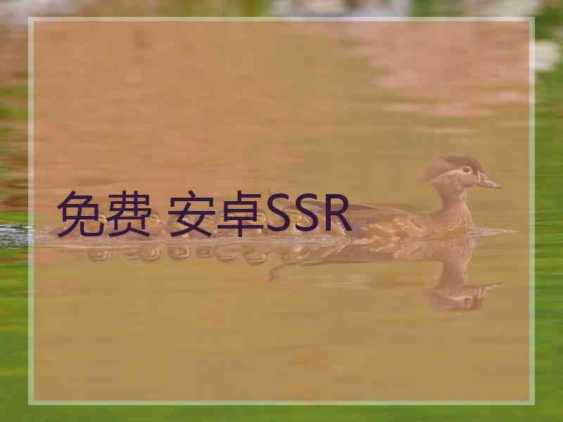 免费 安卓SSR