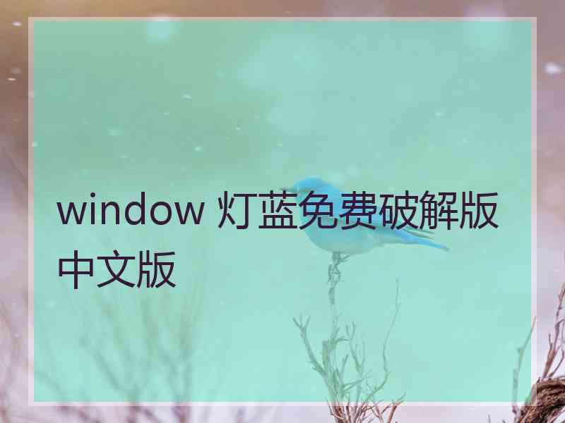 window 灯蓝免费破解版中文版