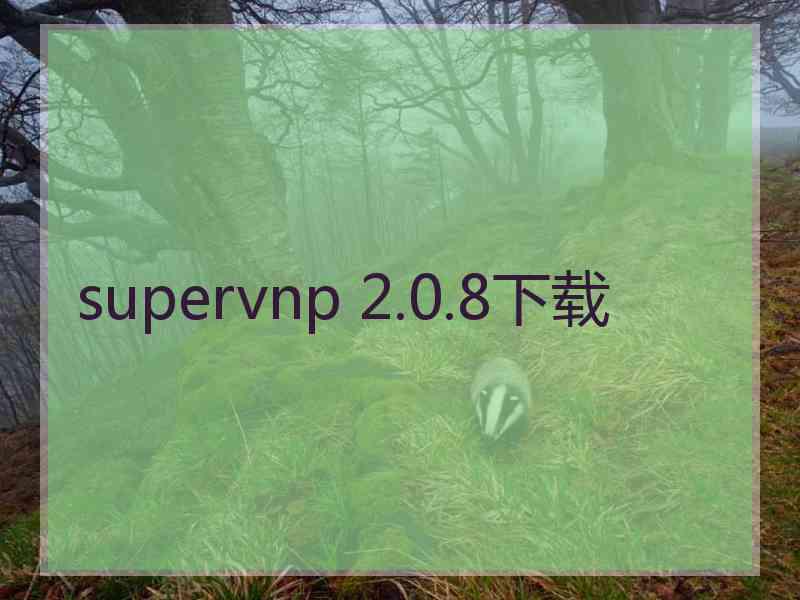 supervnp 2.0.8下载