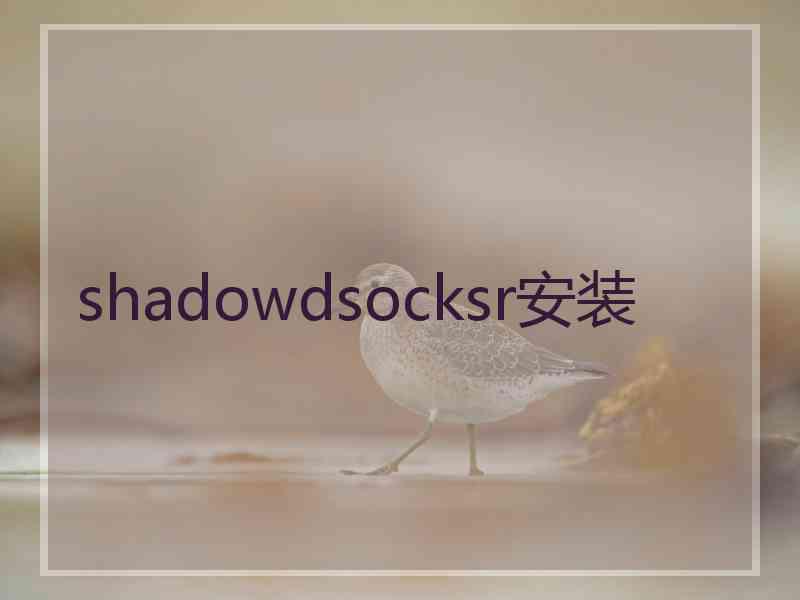 shadowdsocksr安装