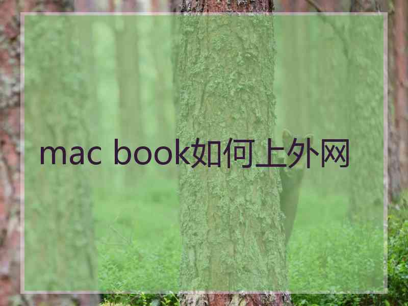 mac book如何上外网