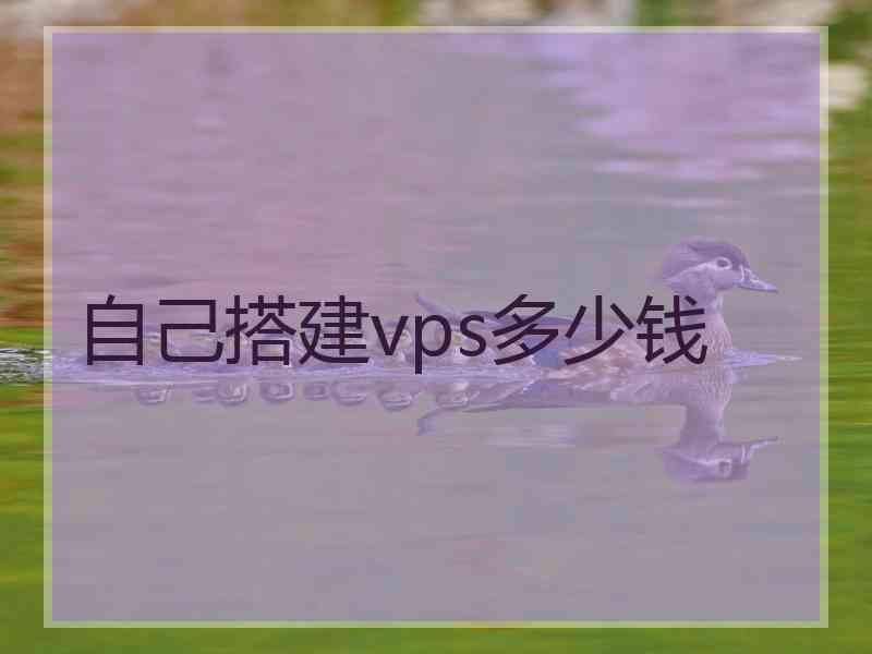 自己搭建vps多少钱