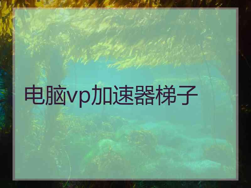 电脑vp加速器梯子