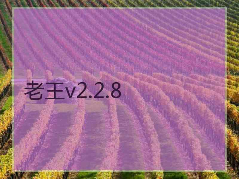 老王v2.2.8