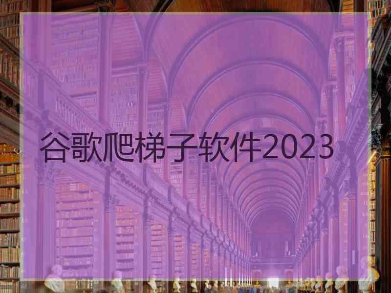 谷歌爬梯子软件2023