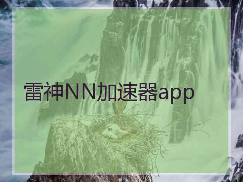 雷神NN加速器app