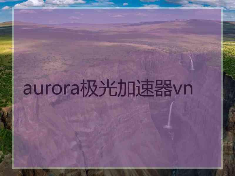 aurora极光加速器vn