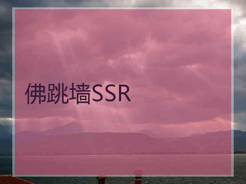 佛跳墙SSR