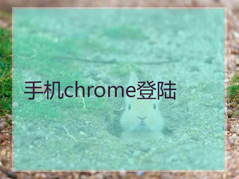 手机chrome登陆