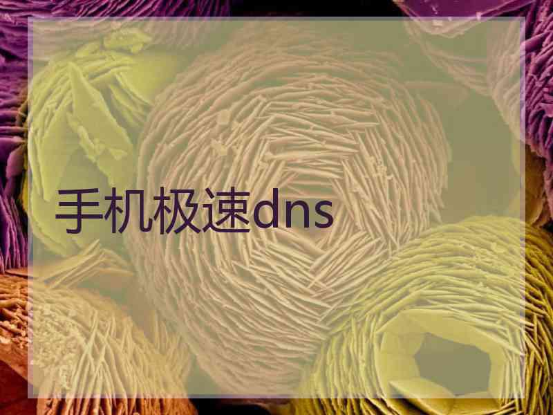 手机极速dns