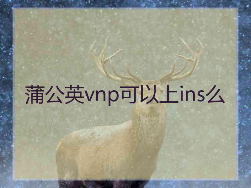 蒲公英vnp可以上ins么