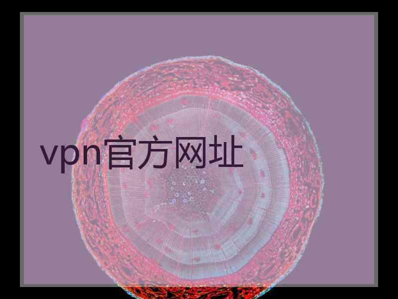 vpn官方网址