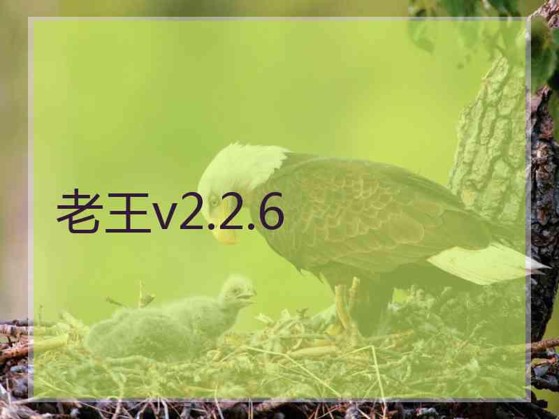 老王v2.2.6